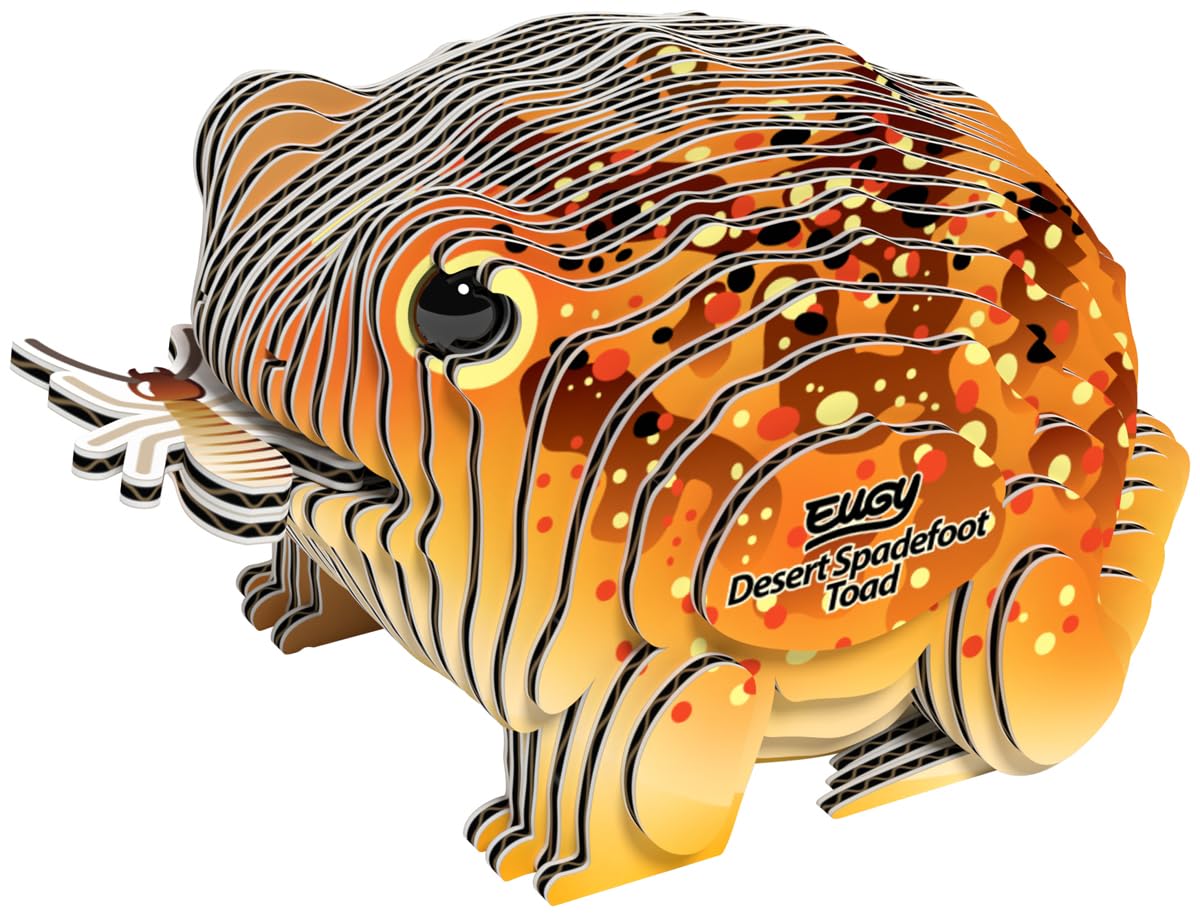 Amazon.com: EUGY Desert Spadefoot Toad 3D Puzzle, 36 Piece Paper